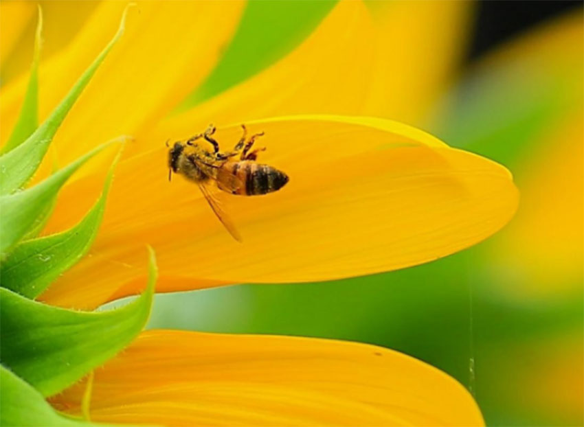 攝影創作不需要旅行穿越山川