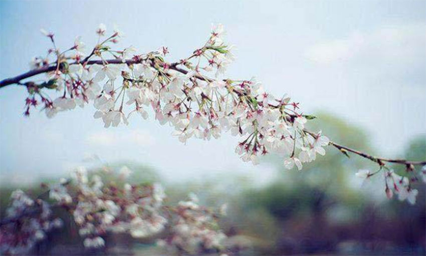 1649504048966245.jpg 艾木傳媒攝影技巧